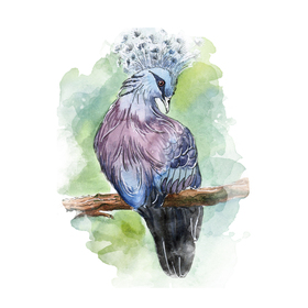 Птицы и животные акварелью