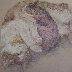 Братья наши меньшие