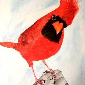 Такие разные пернатые 