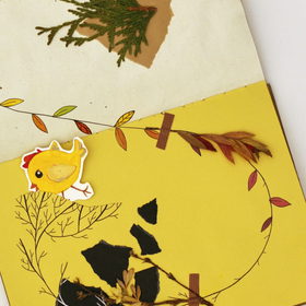 ЧАСТЬ 2. Проект для видеоклипа "Гнёзда" Лус Киндер