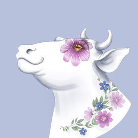 Скетчи для рекламы молочной продукции