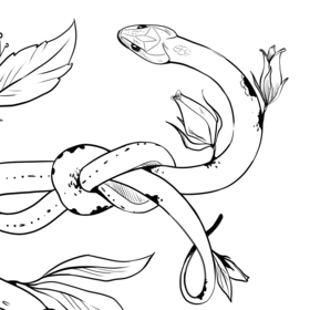 Скетчи Фауна