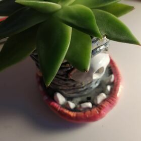 Горшочек - кадавр 