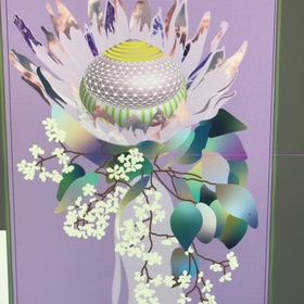 Цветок Протея