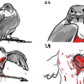 Раскадровки