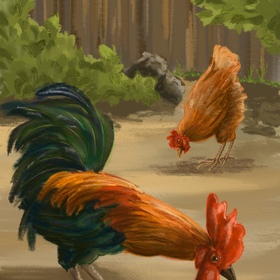 Иллюстрации к рассказу 