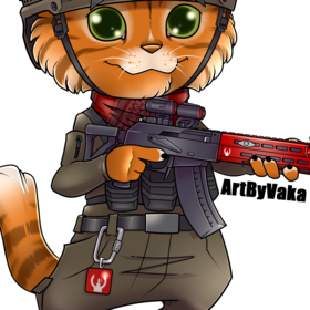 Милитари Котик