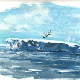 Кругосветное путешествие из Петербурга в Москву 