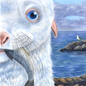 "Белый котик" Р. Киплинг