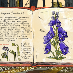 Иллюстрации Травника.