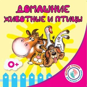 Книжка-малышка