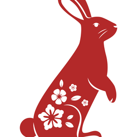 Китайский кролик