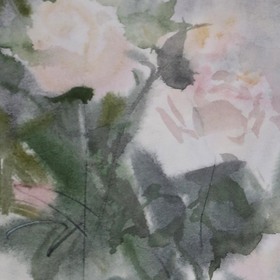 Цветы и растения