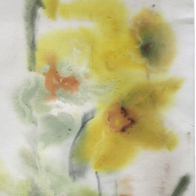 Цветы и растения 3 / Flowers and Plants