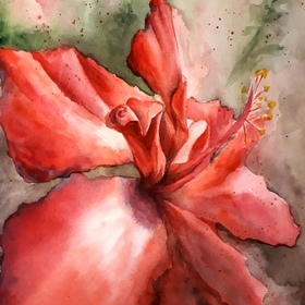 Ботаническая иллюстрация