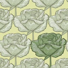 Принт Долларовая роза