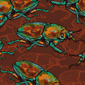 Паттерн Жуки