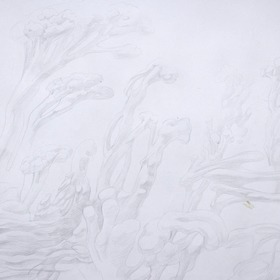 Улитка на склоне. скетчи