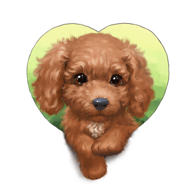 Обложка для книги