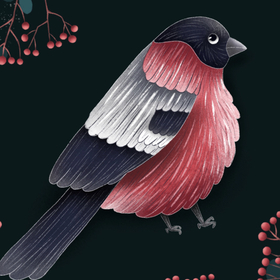 Сибирский снегирь