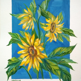 Подсолнухи