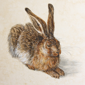 Копия зайца А.Дюрера