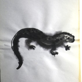 Саламандра и сверчок 