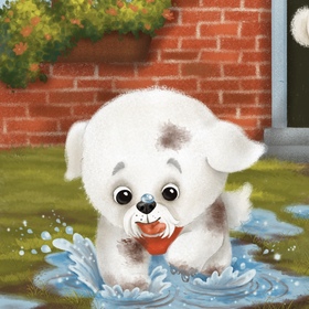 Щенок Бишон 