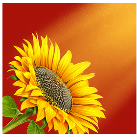 Food Art . Набор 2