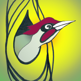 Red-haired green woodpecker