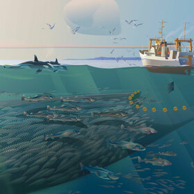 Промысел. ОкеанРыбФлот