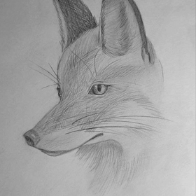 Рисунки карандаш