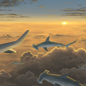 "Сон в длительном перелёте"