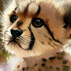 Иллюстрации "Животные"