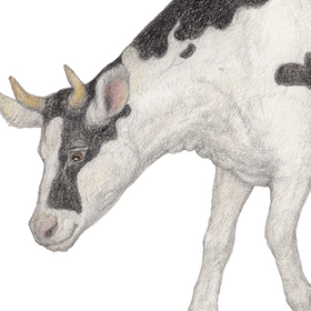 Домашние животные, часть 2 (взрослые и малыши). 2023