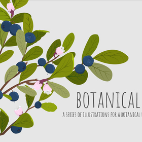 Ботаническая иллюстрация
