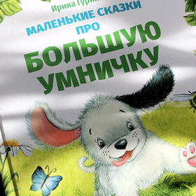 Обзор книги