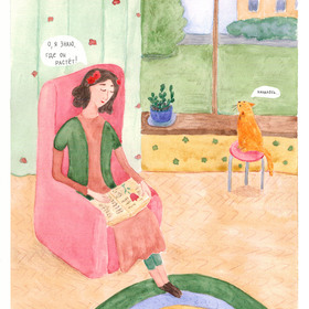 История в картинках 