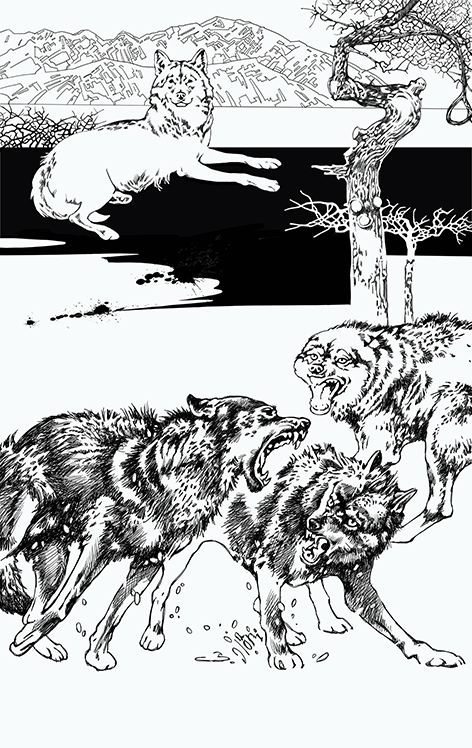 Illustrators.ru - сообщество русскоязычных иллюстраторов