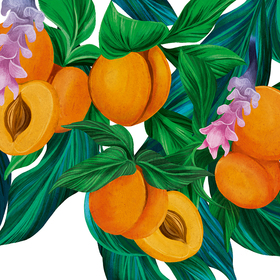 Абрикосы и куркума