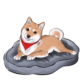 Такеши суши 