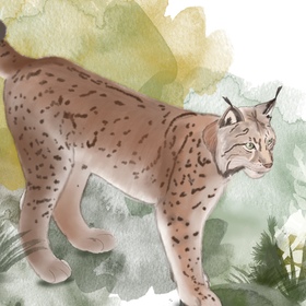 Диджитал акварель