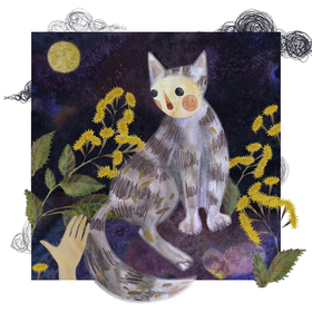 Хроники ночных происшествий