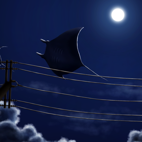 Ночные Манты