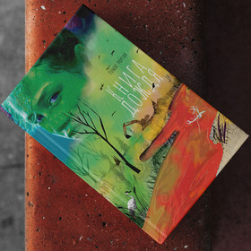 Книга дождя