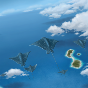 Миграция Скатов