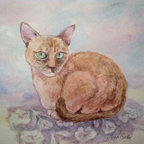 Домашние зарисовки