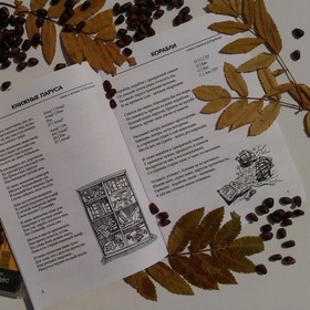 Иллюстрирование песенника