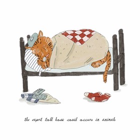 Зарисовки - новости про животных