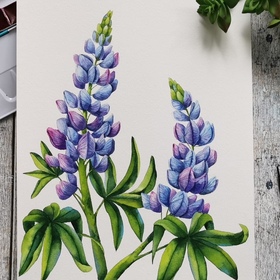  Цветы и фрукты акварелью. Ботаника.